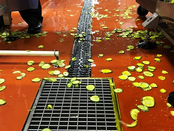 Polyurethane flooring with drain and pickles covering the floor at a food processing plant